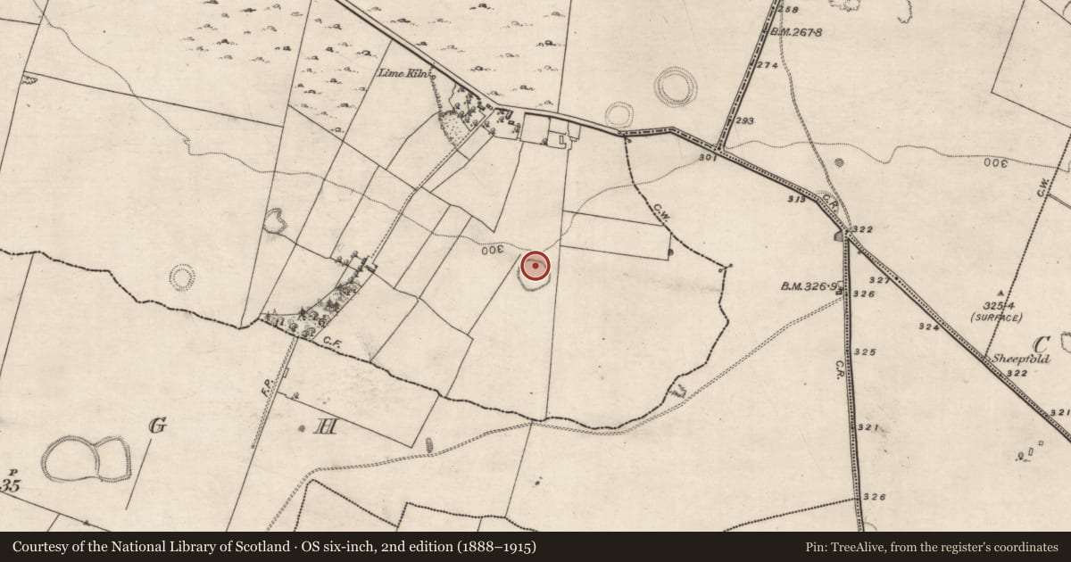 Ordnance Survey six-inch map, 2nd edition (1888–1915) covering the location of Ringfort - cashel, Turlough, County Galway, with a pin at the register's coordinates