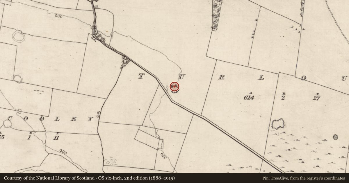Ordnance Survey six-inch map, 2nd edition (1888–1915) covering the location of Designed landscape - tree-ring, Turlough, County Galway, with a pin at the register's coordinates