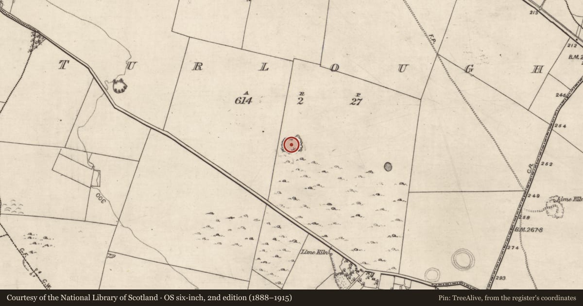 Ordnance Survey six-inch map, 2nd edition (1888–1915) covering the location of Quarry, Turlough, County Galway, with a pin at the register's coordinates