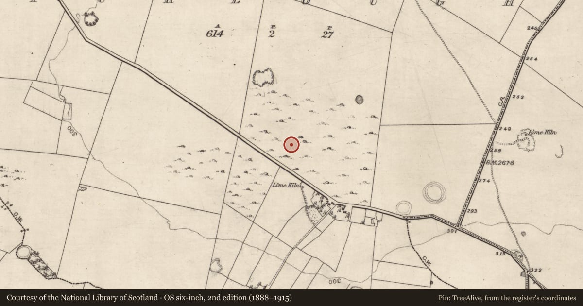 Ordnance Survey six-inch map, 2nd edition (1888–1915) covering the location of Quarry, Turlough, County Galway, with a pin at the register's coordinates