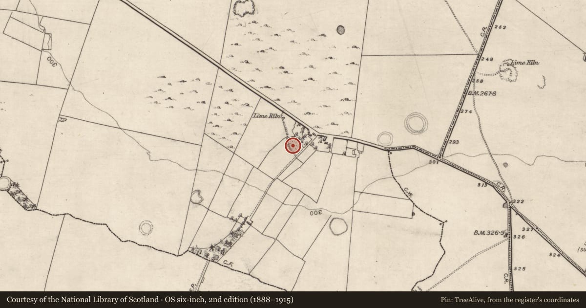 Ordnance Survey six-inch map, 2nd edition (1888–1915) covering the location of Quarry, Turlough, County Galway, with a pin at the register's coordinates