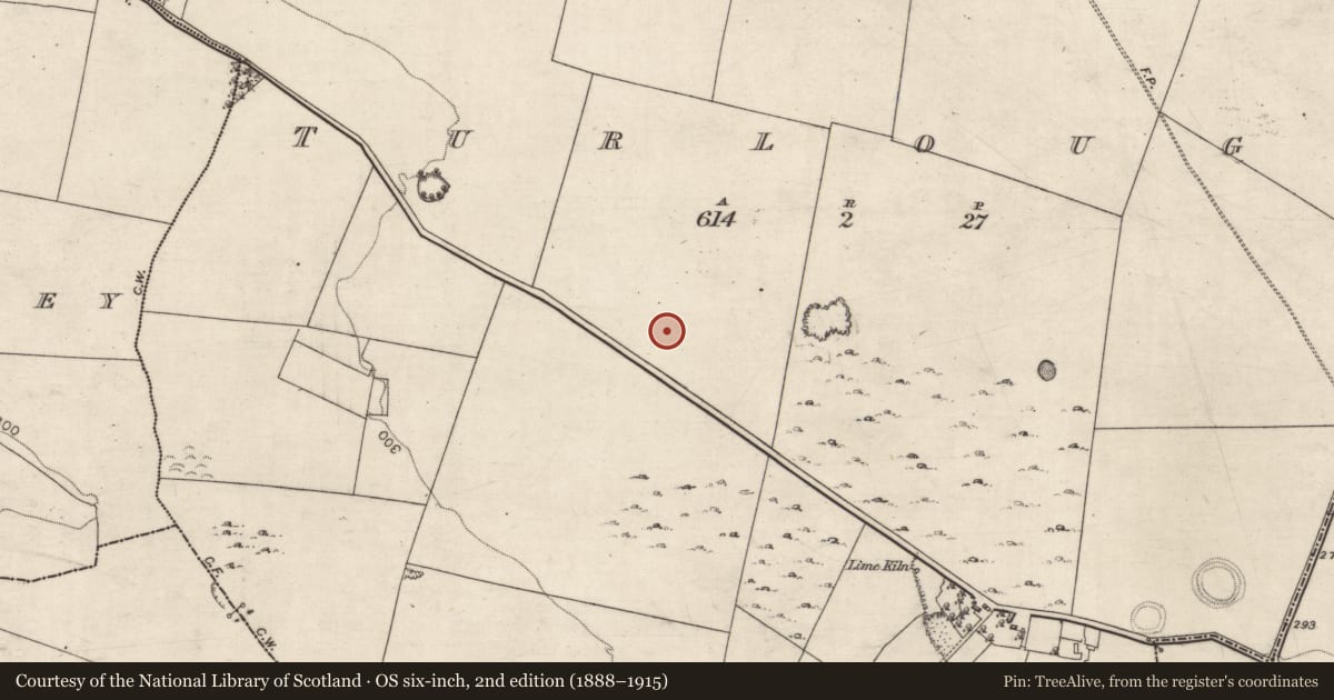 Ordnance Survey six-inch map, 2nd edition (1888–1915) covering the location of Enclosure, Turlough, County Galway, with a pin at the register's coordinates