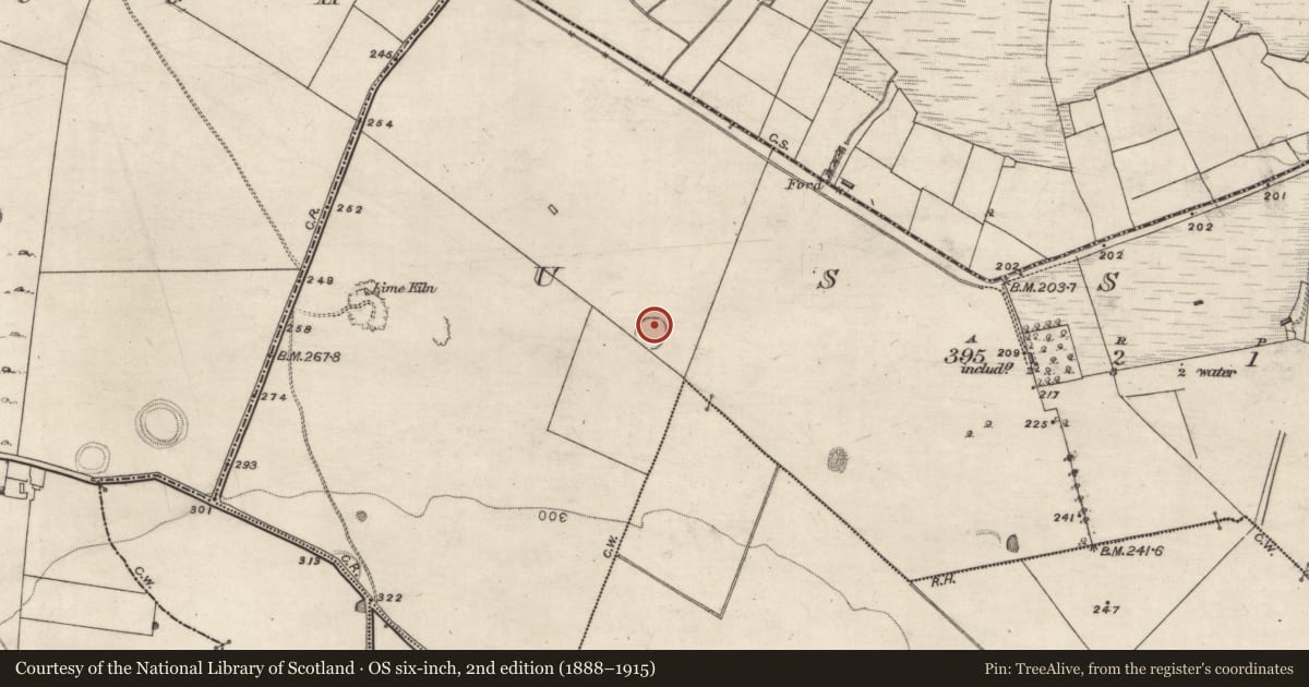 Ordnance Survey six-inch map, 2nd edition (1888–1915) covering the location of Ringfort - rath, Ussey, County Galway, with a pin at the register's coordinates