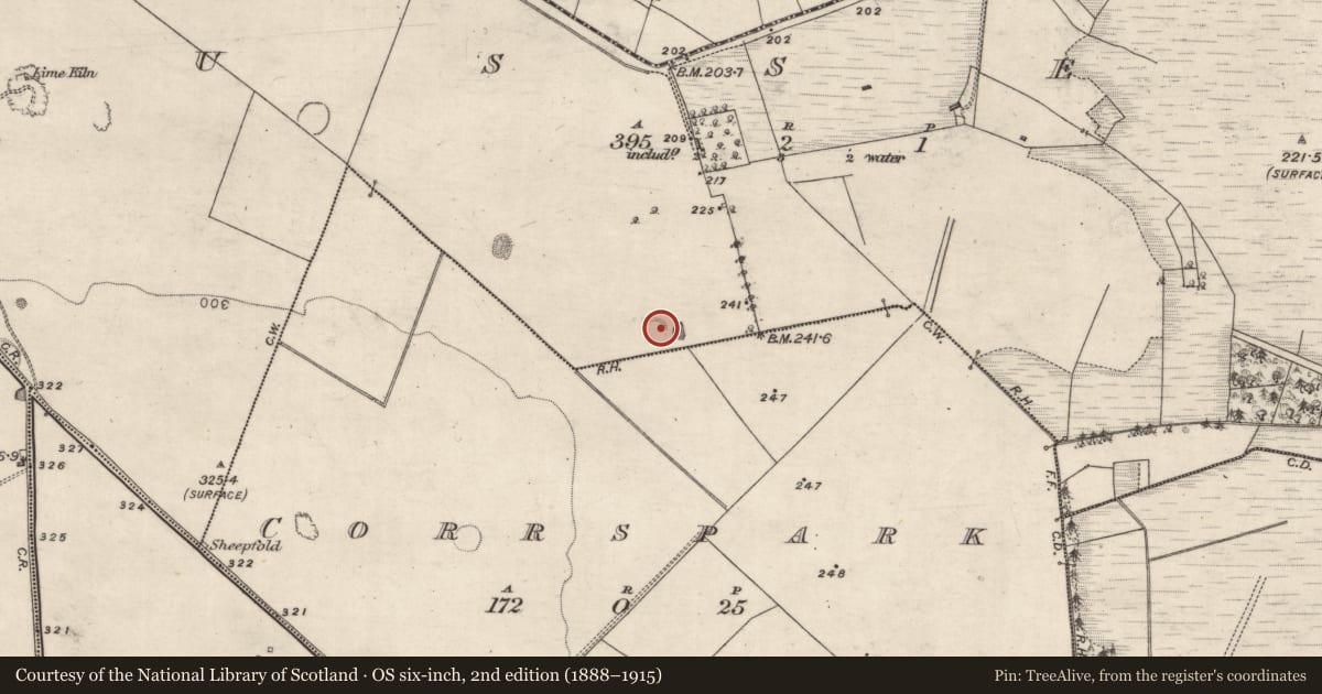 Ordnance Survey six-inch map, 2nd edition (1888–1915) covering the location of Ringfort - rath, Ussey, County Galway, with a pin at the register's coordinates