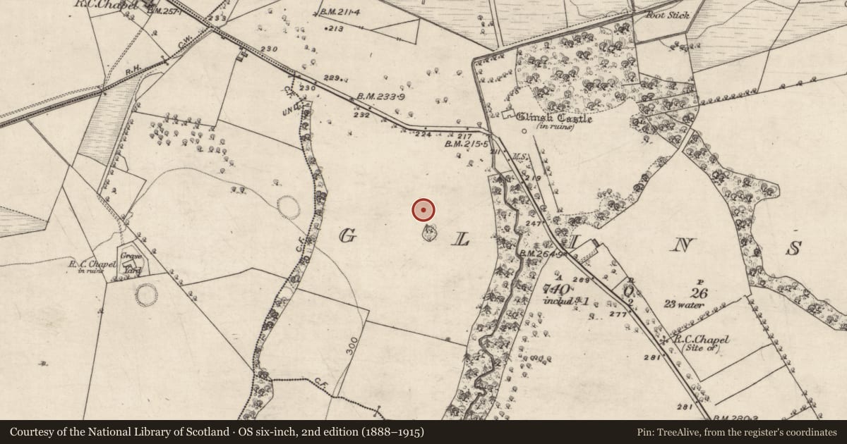 Ordnance Survey six-inch map, 2nd edition (1888–1915) covering the location of Mound, Glinsk, County Galway, with a pin at the register's coordinates