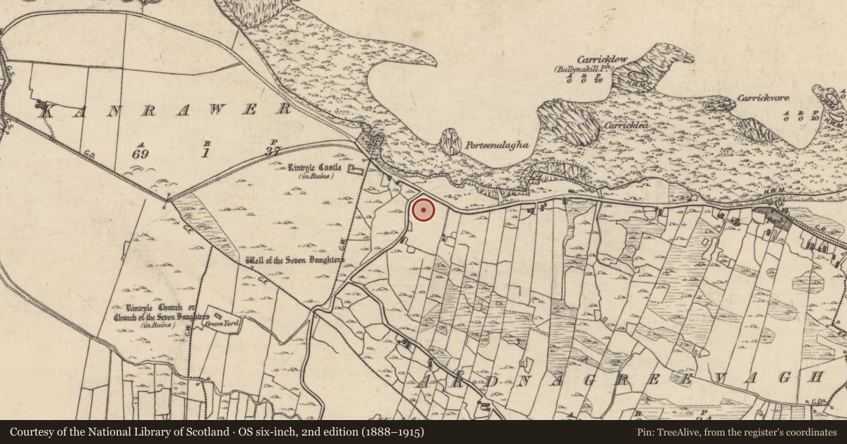 Ordnance Survey six-inch map, 2nd edition (1888–1915) covering the location of Megalithic tomb - wedge tomb, Ardnagreevagh, County Galway, with a pin at the register's coordinates