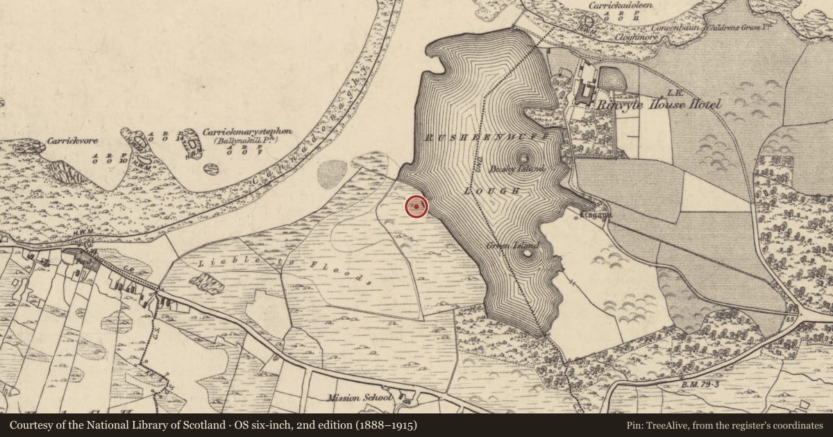 Ordnance Survey six-inch map, 2nd edition (1888–1915) covering the location of Enclosure, Cloonlooaun, County Galway, with a pin at the register's coordinates