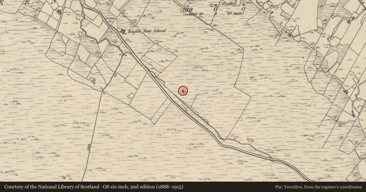 Ordnance Survey six-inch map, 2nd edition (1888–1915) covering the location of Megalithic tomb - portal tomb, Cloonlooaun, County Galway, with a pin at the register's coordinates