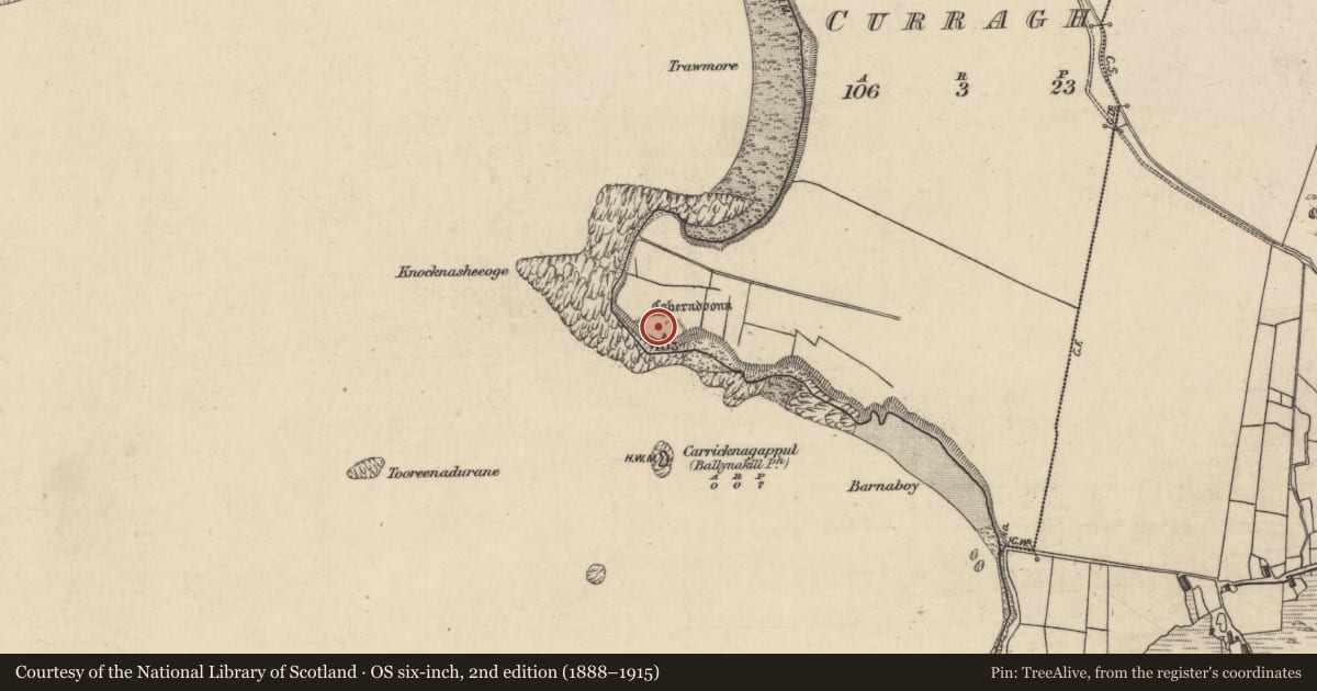 Ordnance Survey six-inch map, 2nd edition (1888–1915) covering the location of Cliff-edge fort, Curragh, County Galway, with a pin at the register's coordinates