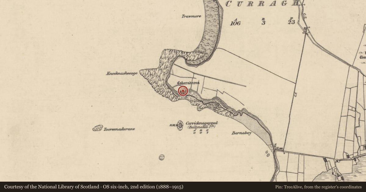 Ordnance Survey six-inch map, 2nd edition (1888–1915) covering the location of Hut site, Curragh, County Galway, with a pin at the register's coordinates