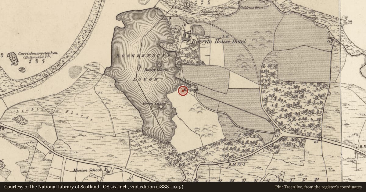 Ordnance Survey six-inch map, 2nd edition (1888–1915) covering the location of Standing stone, Rusheenduff, County Galway, with a pin at the register's coordinates