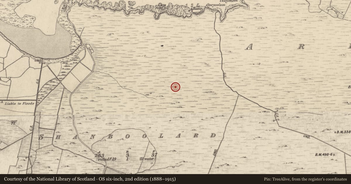 Ordnance Survey six-inch map, 2nd edition (1888–1915) covering the location of Hut site, Shanboolard, County Galway, with a pin at the register's coordinates