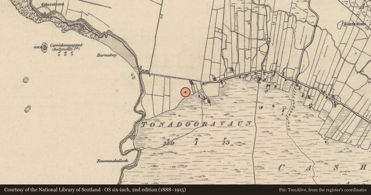 Ordnance Survey six-inch map, 2nd edition (1888–1915) covering the location of Megalithic tomb - court tomb, Tonadooravaun, County Galway, with a pin at the register's coordinates