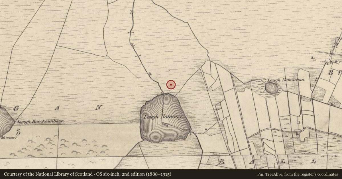 Ordnance Survey six-inch map, 2nd edition (1888–1915) covering the location of Field boundary, Ballynew, County Galway, with a pin at the register's coordinates