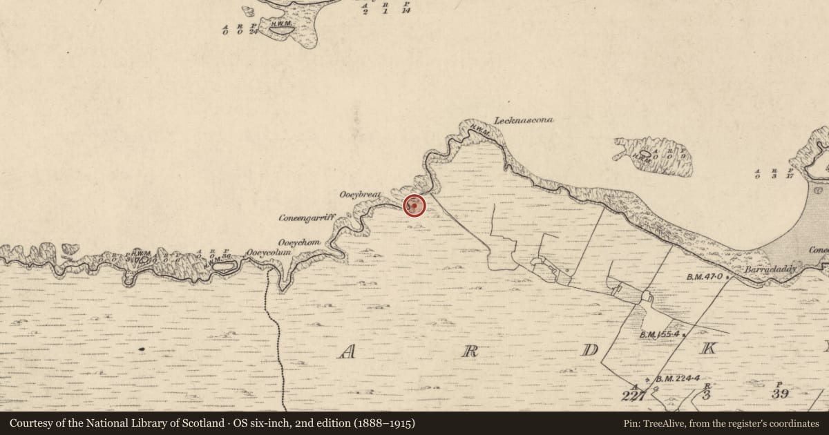 Ordnance Survey six-inch map, 2nd edition (1888–1915) covering the location of Structure, Ardkyle, County Galway, with a pin at the register's coordinates