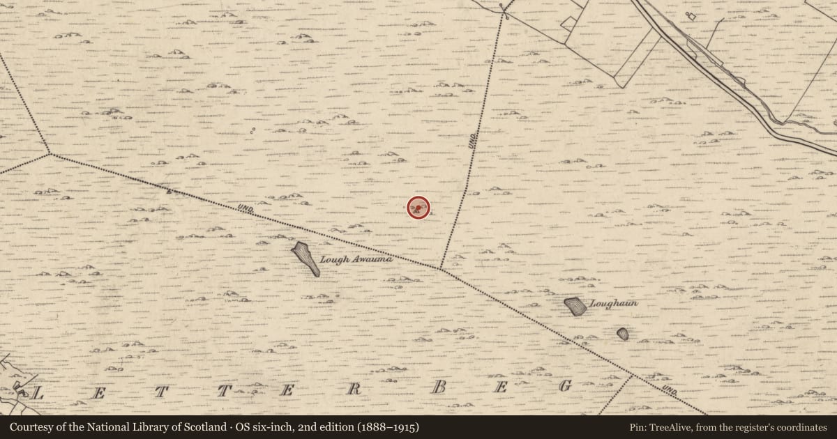 Ordnance Survey six-inch map, 2nd edition (1888–1915) covering the location of Cairn - unclassified, Cashleen, County Galway, with a pin at the register's coordinates