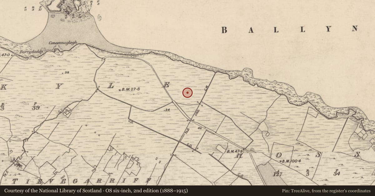 Ordnance Survey six-inch map, 2nd edition (1888–1915) covering the location of Standing stone, Ardkyle, County Galway, with a pin at the register's coordinates