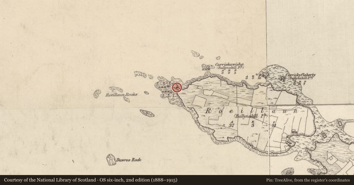 Ordnance Survey six-inch map, 2nd edition (1888–1915) covering the location of Midden, Roeillaun (Ballynakill Ph.), County Galway, with a pin at the register's coordinates