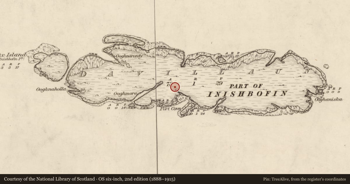 Ordnance Survey six-inch map, 2nd edition (1888–1915) covering the location of Field boundary, Davillaun, County Galway, with a pin at the register's coordinates