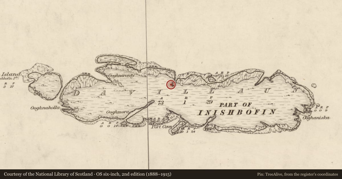 Ordnance Survey six-inch map, 2nd edition (1888–1915) covering the location of Field boundary, Davillaun, County Galway, with a pin at the register's coordinates