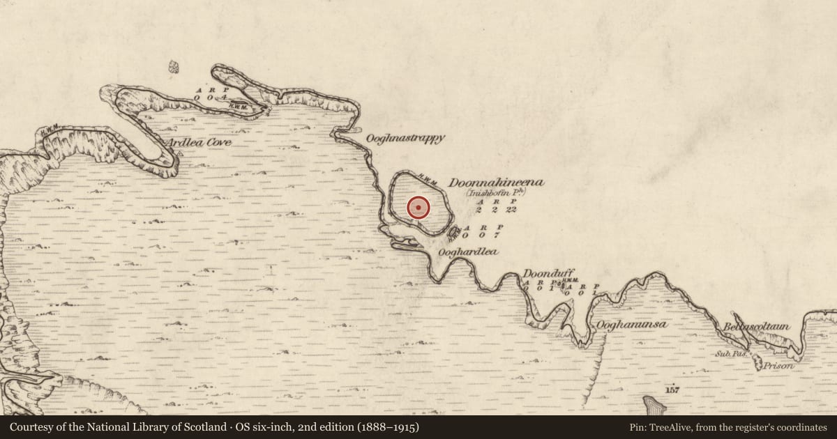 Ordnance Survey six-inch map, 2nd edition (1888–1915) covering the location of Hut site, Cloonamore, County Galway, with a pin at the register's coordinates