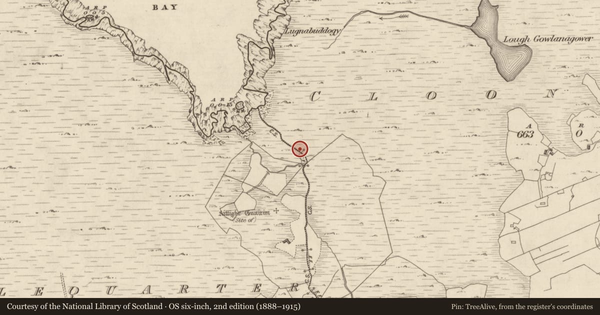 Ordnance Survey six-inch map, 2nd edition (1888–1915) covering the location of Water mill - horizontal-wheeled, Cloonamore, County Galway, with a pin at the register's coordinates