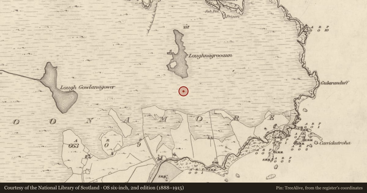 Ordnance Survey six-inch map, 2nd edition (1888–1915) covering the location of Enclosure, Cloonamore, County Galway, with a pin at the register's coordinates