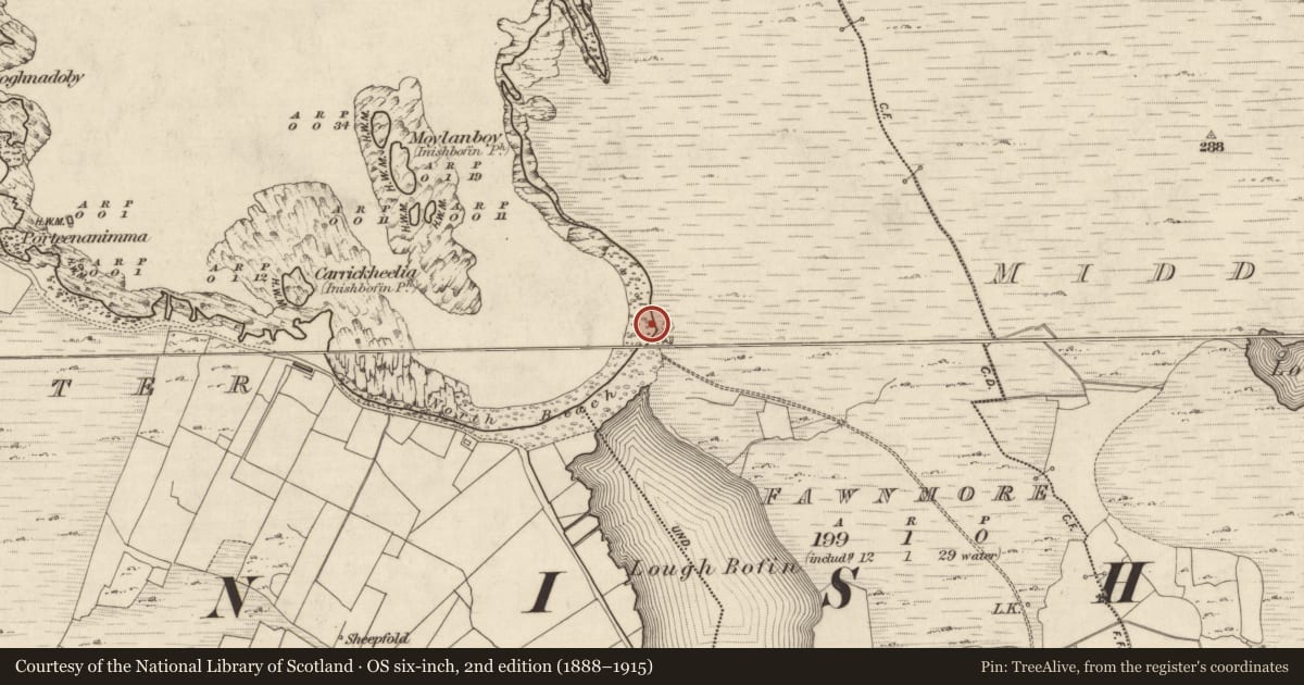 Ordnance Survey six-inch map, 2nd edition (1888–1915) covering the location of House - indeterminate date, Fawnmore, County Galway, with a pin at the register's coordinates