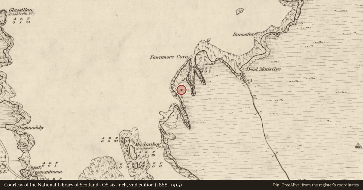Ordnance Survey six-inch map, 2nd edition (1888–1915) covering the location of Hut site, Fawnmore, County Galway, with a pin at the register's coordinates