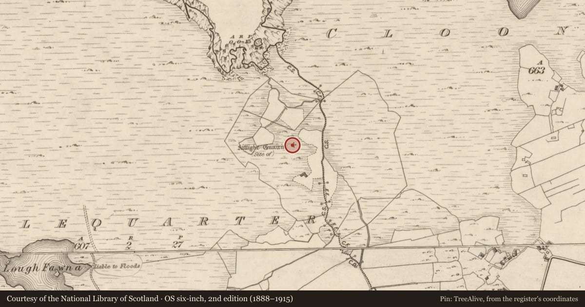 Ordnance Survey six-inch map, 2nd edition (1888–1915) covering the location of Building, Middlequarter, County Galway, with a pin at the register's coordinates
