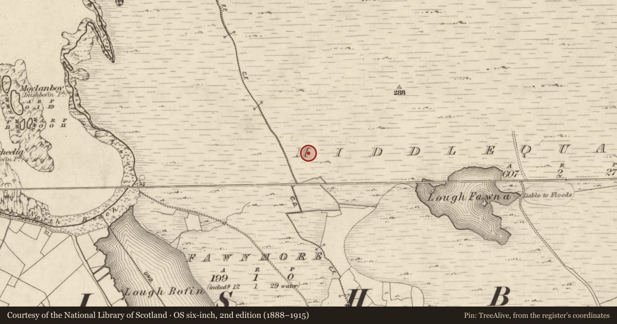 Ordnance Survey six-inch map, 2nd edition (1888–1915) covering the location of Field system, Middlequarter, County Galway, with a pin at the register's coordinates