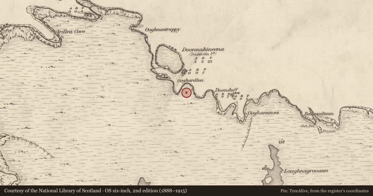 Ordnance Survey six-inch map, 2nd edition (1888–1915) covering the location of House - indeterminate date, Cloonamore, County Galway, with a pin at the register's coordinates