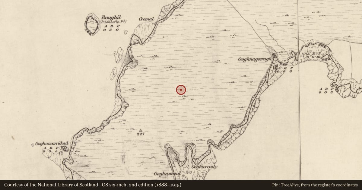 Ordnance Survey six-inch map, 2nd edition (1888–1915) covering the location of Field system, Inishshark, County Galway, with a pin at the register's coordinates