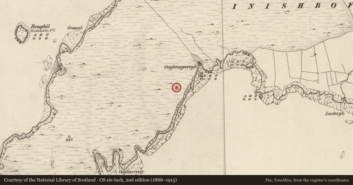 Ordnance Survey six-inch map, 2nd edition (1888–1915) covering the location of House - indeterminate date, Inishshark, County Galway, with a pin at the register's coordinates