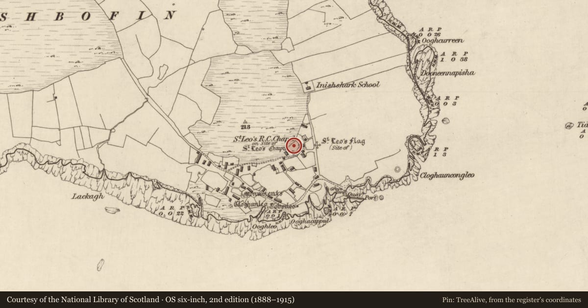 Ordnance Survey six-inch map, 2nd edition (1888–1915) covering the location of Leacht, Inishshark, County Galway, with a pin at the register's coordinates