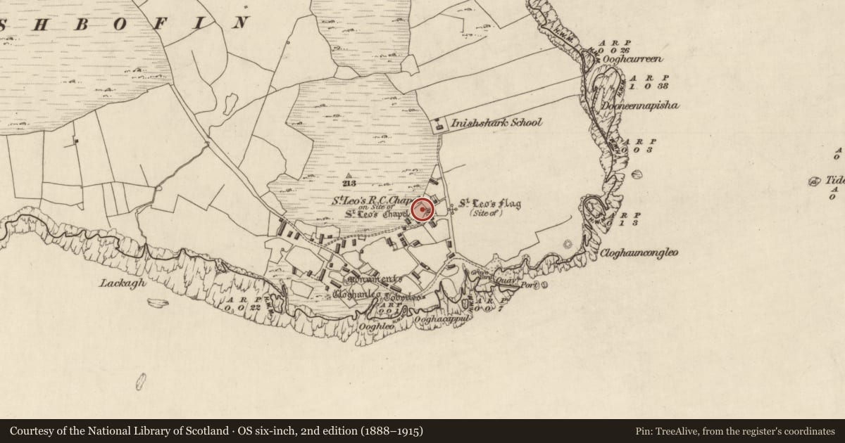 Ordnance Survey six-inch map, 2nd edition (1888–1915) covering the location of Cross-slab, Inishshark, County Galway, with a pin at the register's coordinates