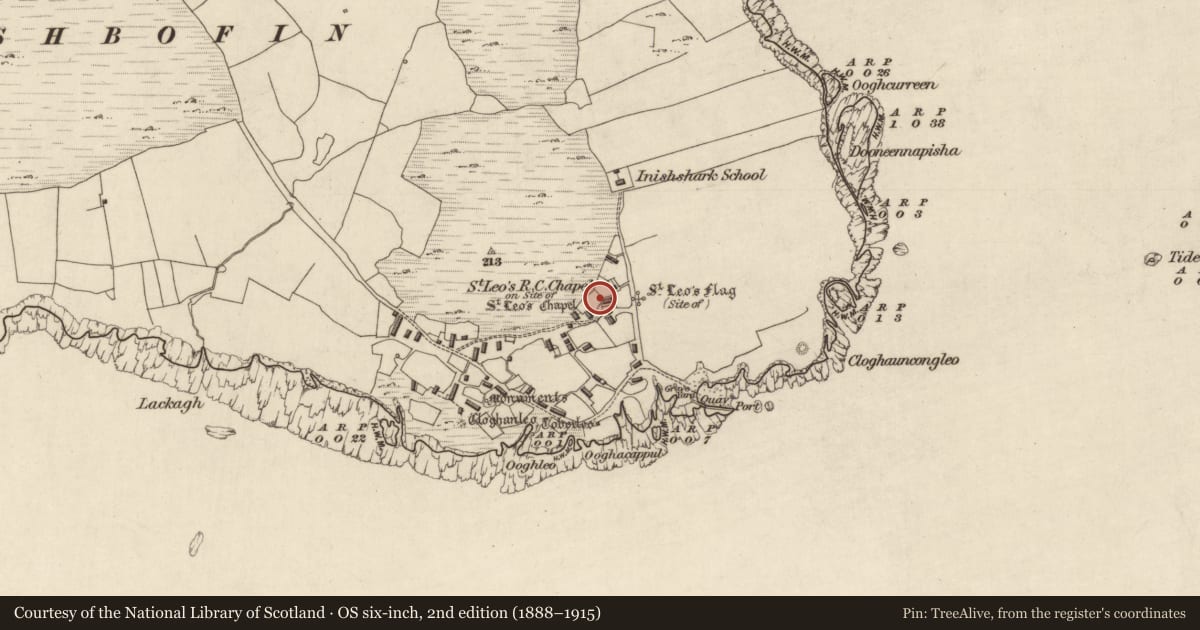 Ordnance Survey six-inch map, 2nd edition (1888–1915) covering the location of Graveyard, Inishshark, County Galway, with a pin at the register's coordinates