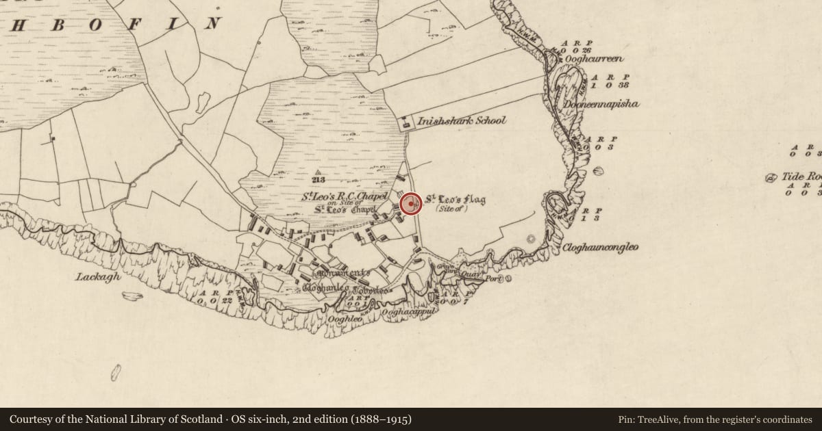Ordnance Survey six-inch map, 2nd edition (1888–1915) covering the location of Cross, Inishshark, County Galway, with a pin at the register's coordinates