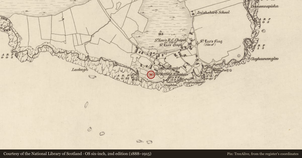 Ordnance Survey six-inch map, 2nd edition (1888–1915) covering the location of Ecclesiastical enclosure, Inishshark, County Galway, with a pin at the register's coordinates