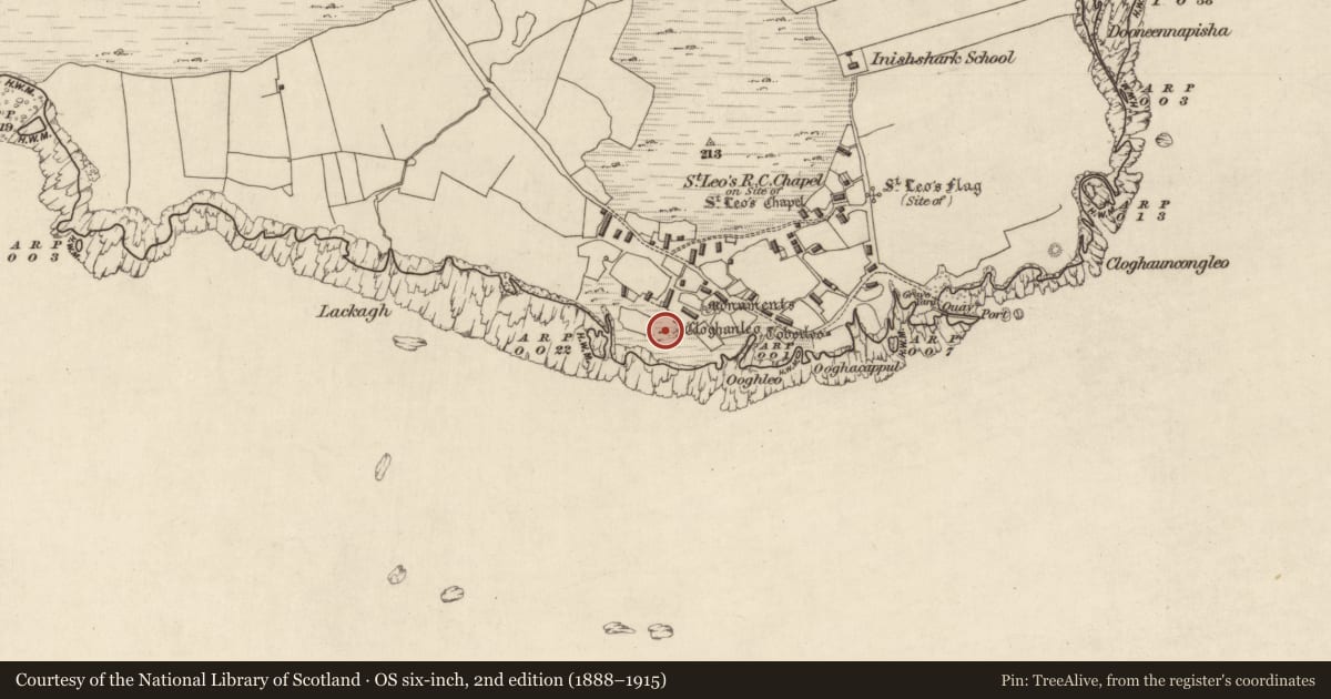Ordnance Survey six-inch map, 2nd edition (1888–1915) covering the location of Clochan, Inishshark, County Galway, with a pin at the register's coordinates