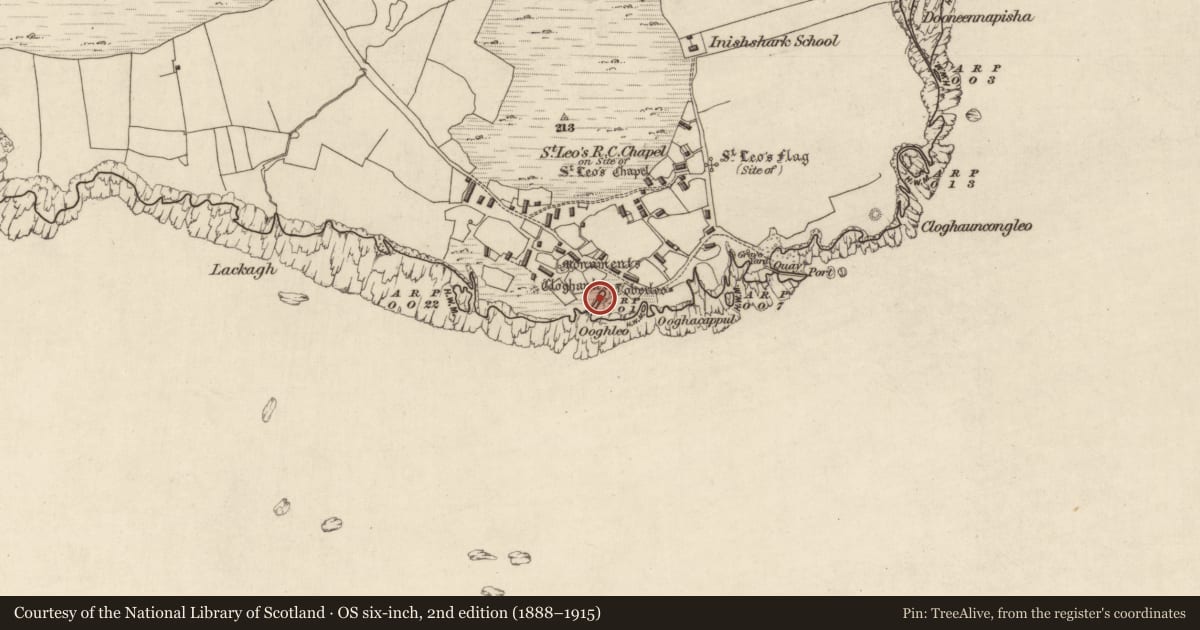 Ordnance Survey six-inch map, 2nd edition (1888–1915) covering the location of Ritual site - holy well, Inishshark, County Galway, with a pin at the register's coordinates