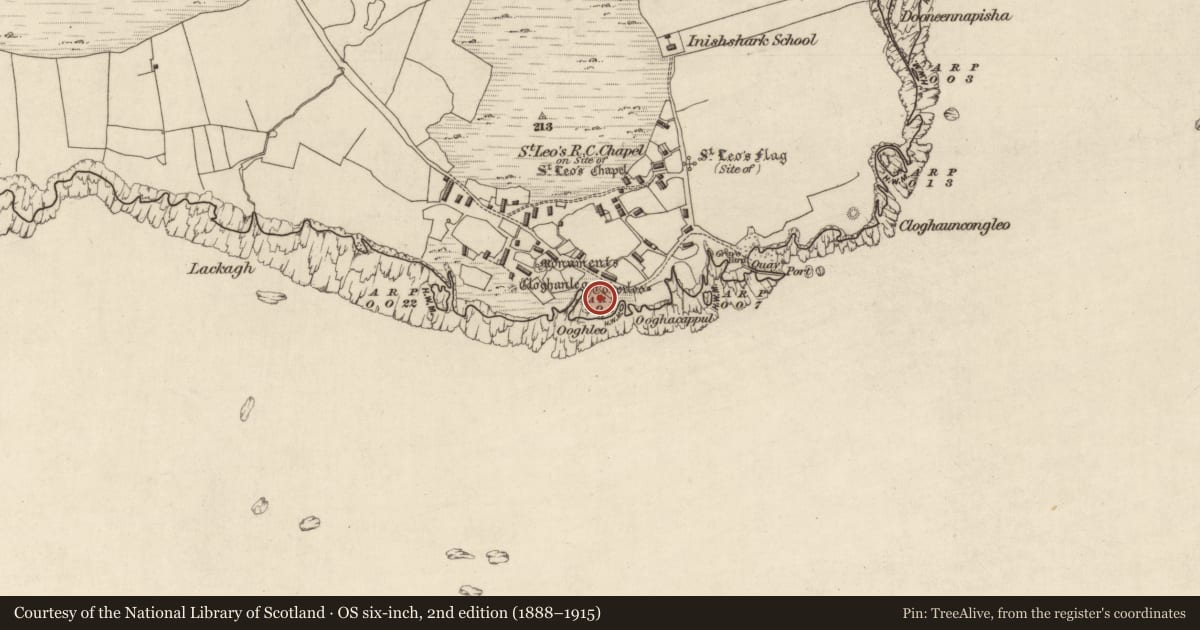 Ordnance Survey six-inch map, 2nd edition (1888–1915) covering the location of Leacht, Inishshark, County Galway, with a pin at the register's coordinates