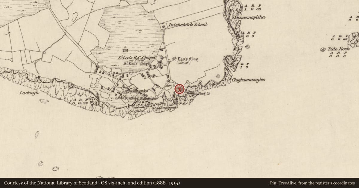 Ordnance Survey six-inch map, 2nd edition (1888–1915) covering the location of Burial ground, Inishshark, County Galway, with a pin at the register's coordinates