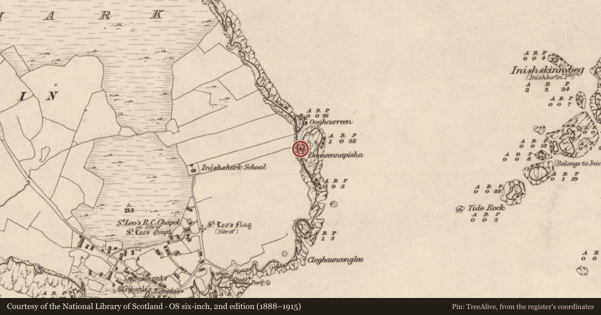 Ordnance Survey six-inch map, 2nd edition (1888–1915) covering the location of Promontory fort - coastal, Inishshark, County Galway, with a pin at the register's coordinates