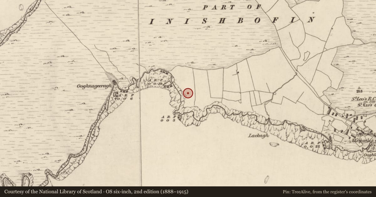 Ordnance Survey six-inch map, 2nd edition (1888–1915) covering the location of Pound, Inishshark, County Galway, with a pin at the register's coordinates