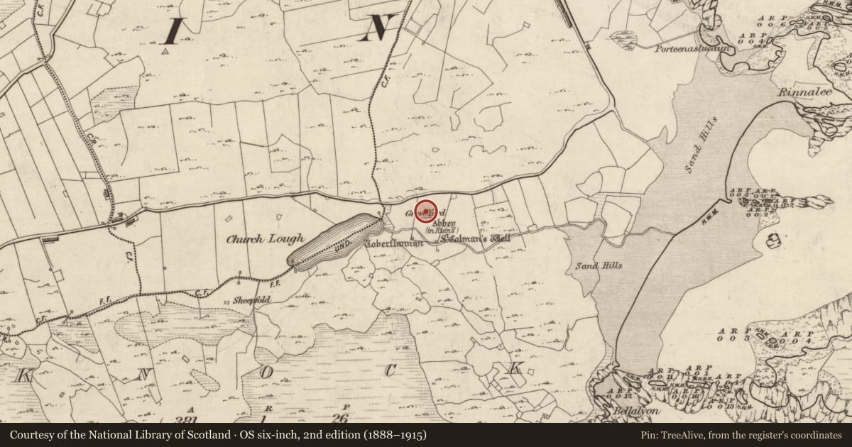 Ordnance Survey six-inch map, 2nd edition (1888–1915) covering the location of Ecclesiastical enclosure, Knock (Inishbofin Par.), County Galway, with a pin at the register's coordinates