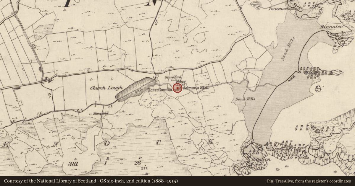 Ordnance Survey six-inch map, 2nd edition (1888–1915) covering the location of Ritual site - holy well, Knock (Inishbofin Par.), County Galway, with a pin at the register's coordinates