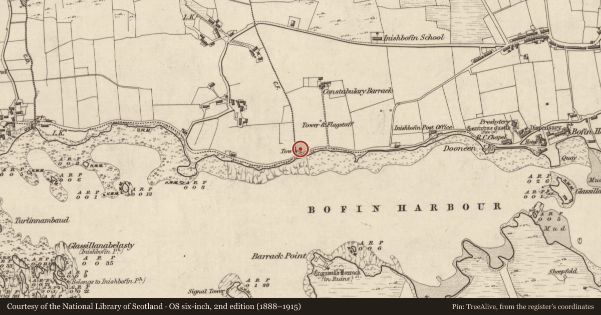 Ordnance Survey six-inch map, 2nd edition (1888–1915) covering the location of Beacon, Middlequarter, County Galway, with a pin at the register's coordinates