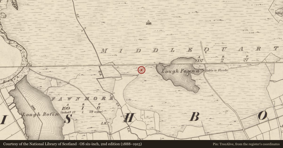 Ordnance Survey six-inch map, 2nd edition (1888–1915) covering the location of Water mill - horizontal-wheeled, Middlequarter, County Galway, with a pin at the register's coordinates
