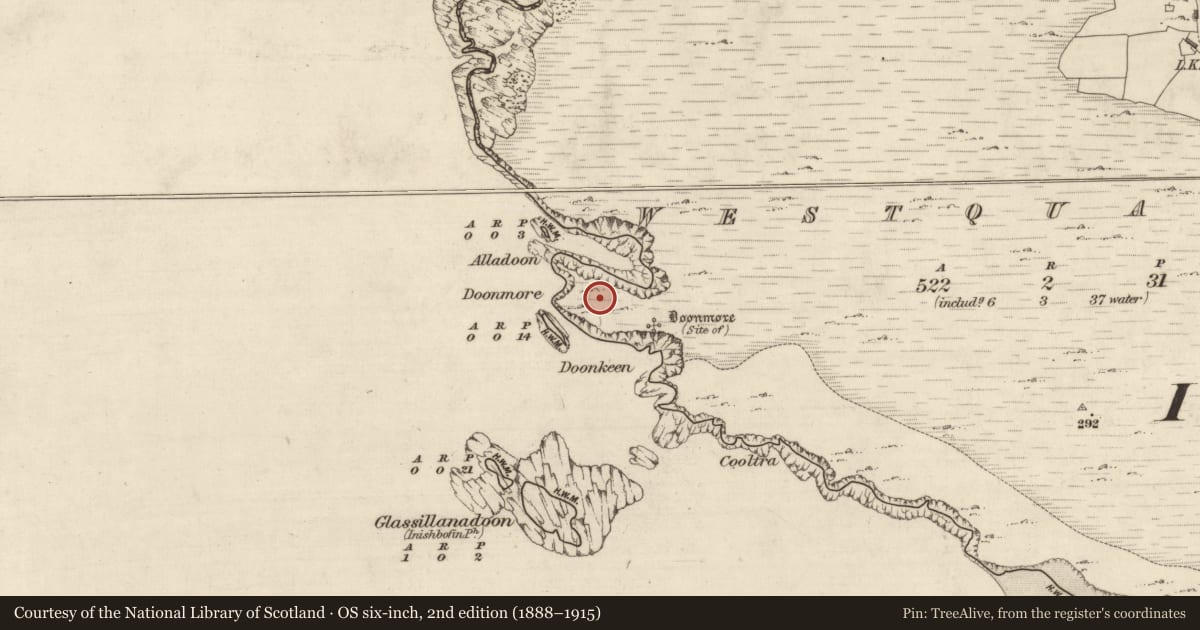 Ordnance Survey six-inch map, 2nd edition (1888–1915) covering the location of Promontory fort - coastal, Westquarter, County Galway, with a pin at the register's coordinates